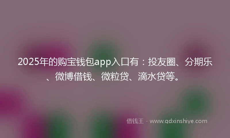 2025年的购宝钱包app入口有：投友圈、分期乐、微博借钱、微粒贷、滴水贷等。
