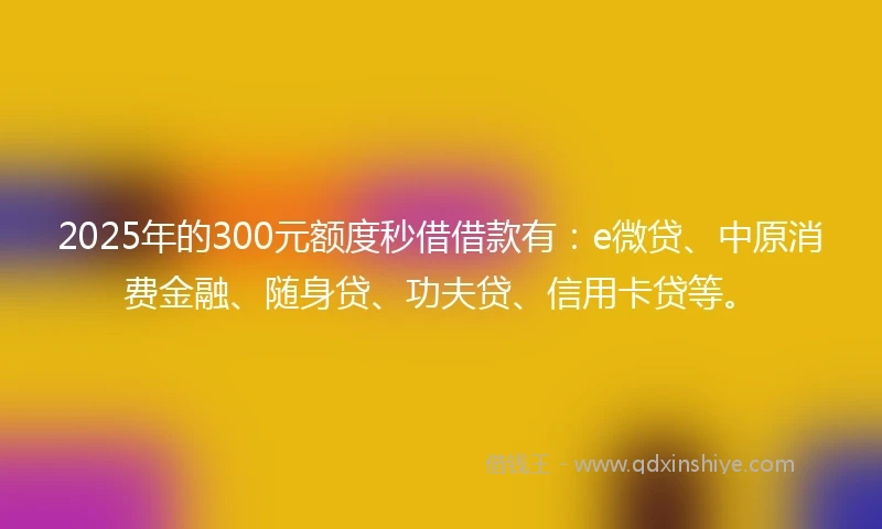 2025年的300元额度秒借借款有：e微贷、中原消费金融、随身贷、功夫贷、信用卡贷等。
