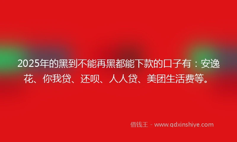 2025年的黑到不能再黑都能下款的口子有：安逸花、你我贷、还呗、人人贷、美团生活费等。