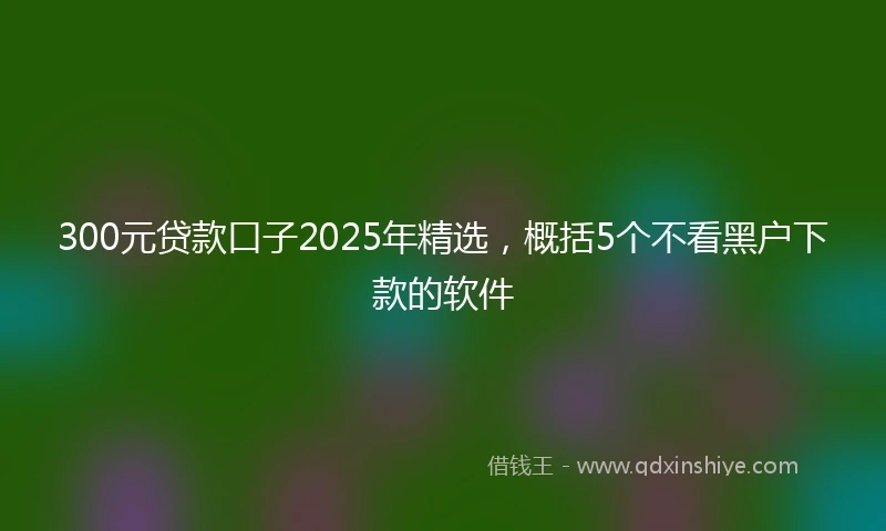 300元贷款口子2025年精选，概括5个不看黑户下款的软件