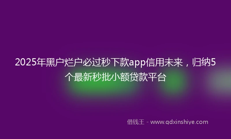 2025年黑户烂户必过秒下款app信用未来，归纳5个最新秒批小额贷款平台