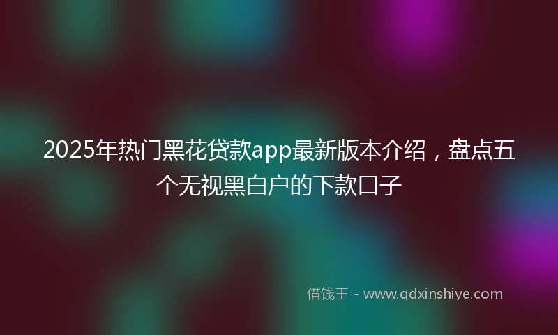 2025年热门黑花贷款app最新版本介绍，盘点五个无视黑白户的下款口子