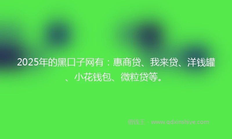 2025年的黑口子网有：惠商贷、我来贷、洋钱罐、小花钱包、微粒贷等。