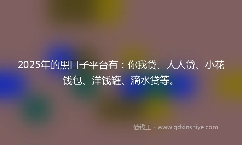 2025年的黑口子平台有：你我贷、人人贷、小花钱包、洋钱罐、滴水贷等。