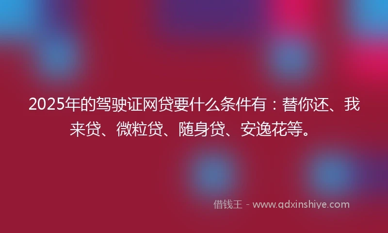 2025年的驾驶证网贷要什么条件有：替你还、我来贷、微粒贷、随身贷、安逸花等。