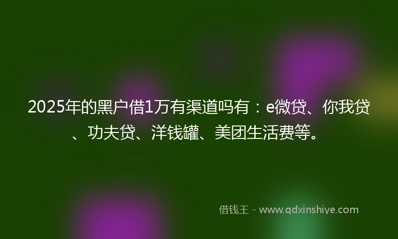 2025年的黑户借1万有渠道吗有：e微贷、你我贷、功夫贷、洋钱罐、美团生活费等。