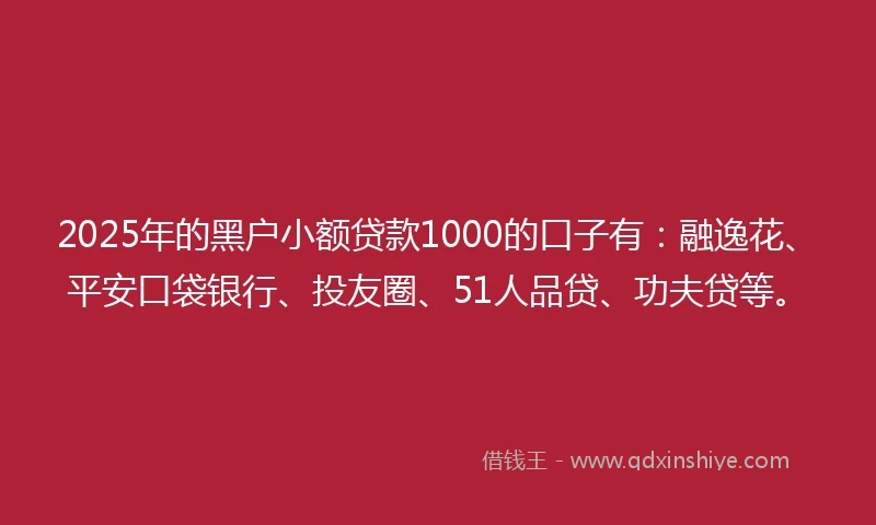2025年的黑户小额贷款1000的口子有：融逸花、平安口袋银行、投友圈、51人品贷、功夫贷等。