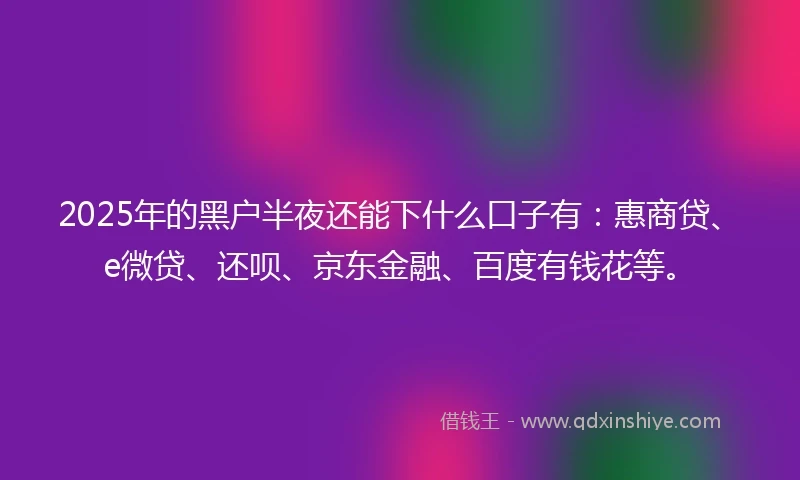 2025年的黑户半夜还能下什么口子有：惠商贷、e微贷、还呗、京东金融、百度有钱花等。