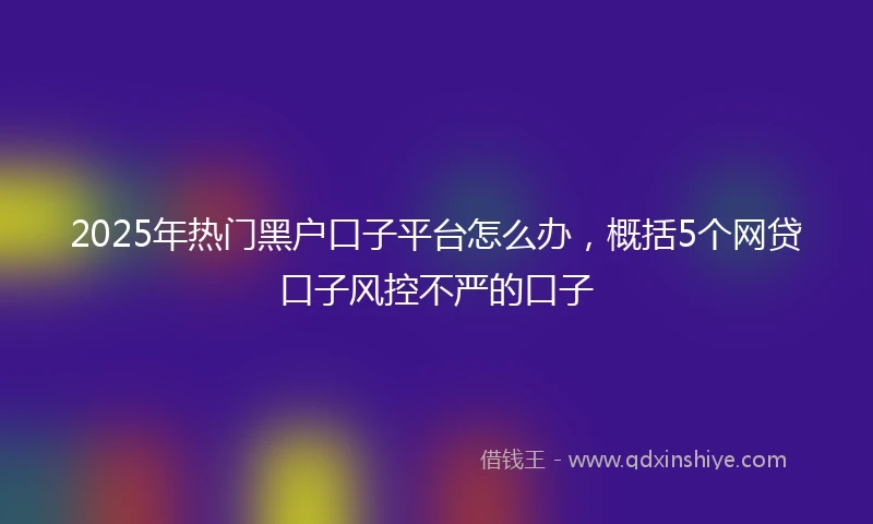 2025年热门黑户口子平台怎么办，概括5个网贷口子风控不严的口子