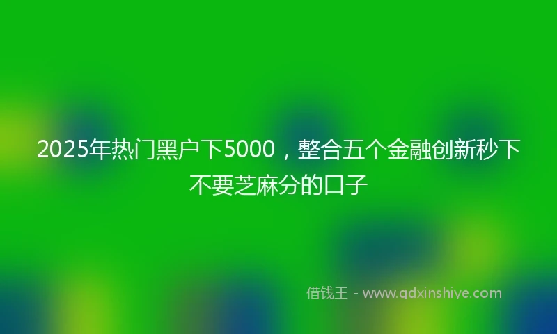 2025年热门黑户下5000，整合五个金融创新秒下不要芝麻分的口子