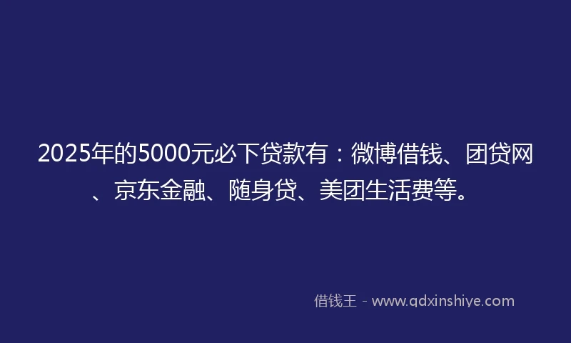 2025年的5000元必下贷款有：微博借钱、团贷网、京东金融、随身贷、美团生活费等。