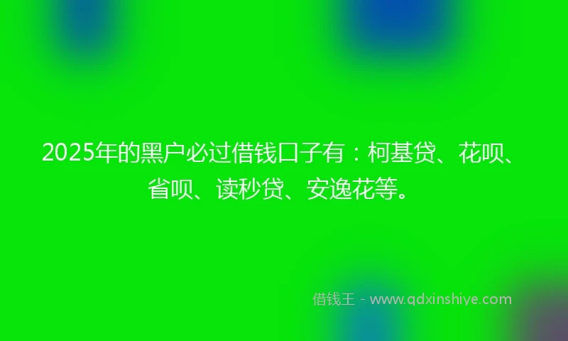 2025年的黑户必过借钱口子有：柯基贷、花呗、省呗、读秒贷、安逸花等。
