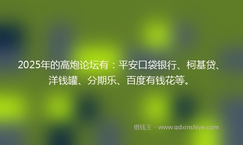 2025年的高炮论坛有：平安口袋银行、柯基贷、洋钱罐、分期乐、百度有钱花等。