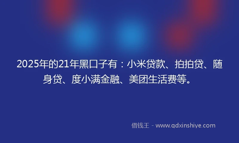 2025年的21年黑口子有：小米贷款、拍拍贷、随身贷、度小满金融、美团生活费等。