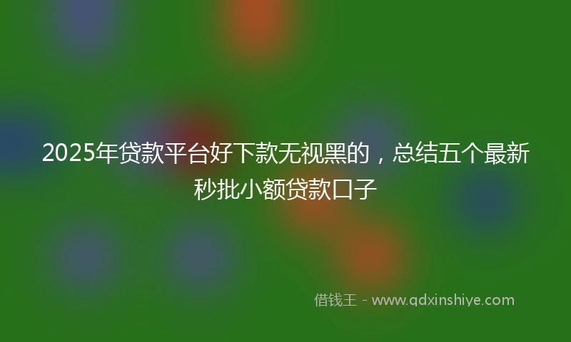2025年贷款平台好下款无视黑的，总结五个最新秒批小额贷款口子