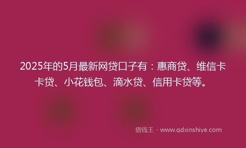 2025年的5月最新网贷口子有：惠商贷、维信卡卡贷、小花钱包、滴水贷、信用卡贷等。
