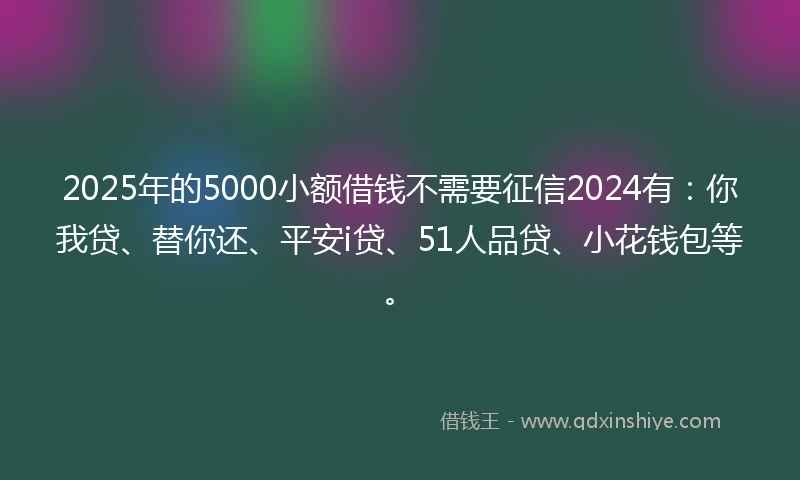 2025年的5000小额借钱不需要征信2024有：你我贷、替你还、平安i贷、51人品贷、小花钱包等。