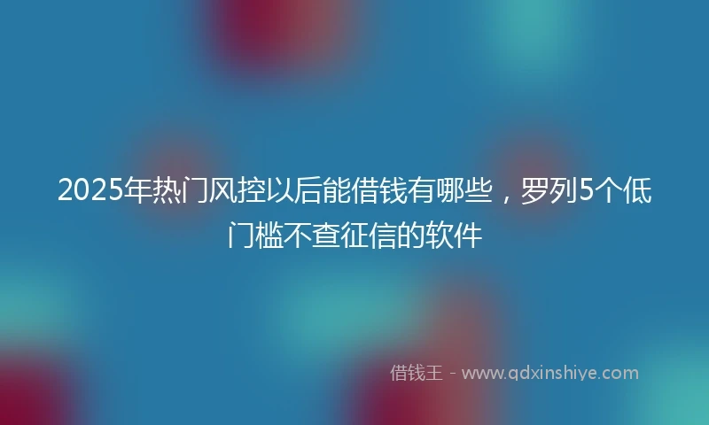 2025年热门风控以后能借钱有哪些，罗列5个低门槛不查征信的软件