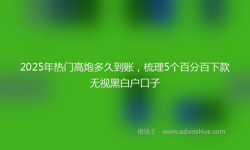 2025年热门高炮多久到账，梳理5个百分百下款无视黑白户口子