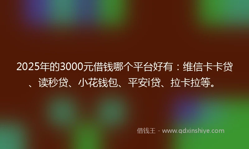 2025年的3000元借钱哪个平台好有：维信卡卡贷、读秒贷、小花钱包、平安i贷、拉卡拉等。