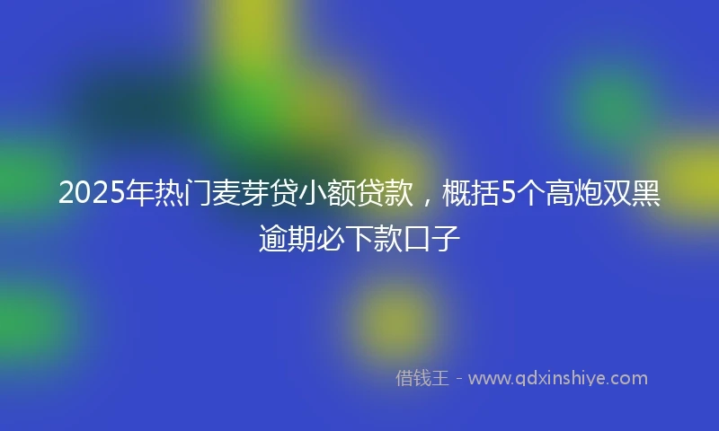 2025年热门麦芽贷小额贷款，概括5个高炮双黑逾期必下款口子
