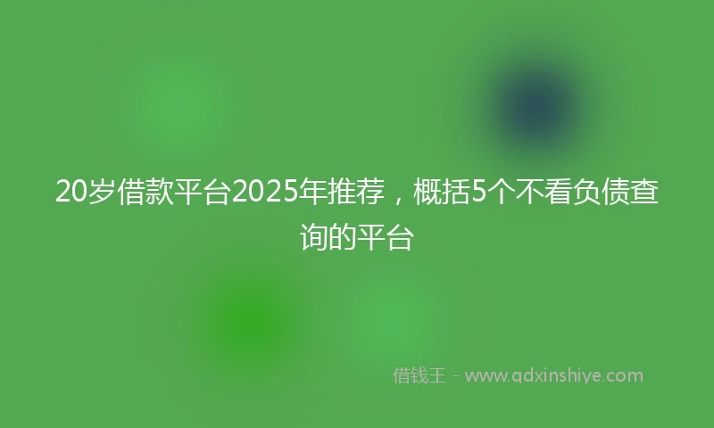 20岁借款平台2025年推荐，概括5个不看负债查询的平台