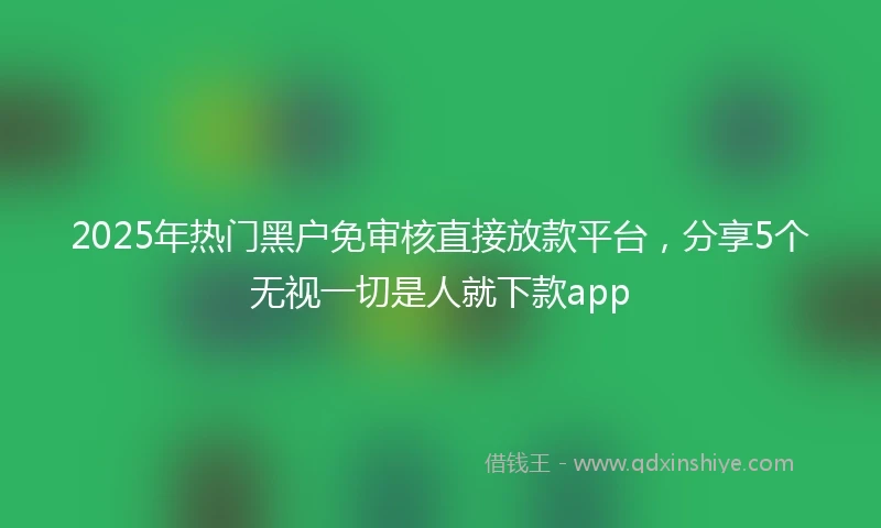 2025年热门黑户免审核直接放款平台，分享5个无视一切是人就下款app