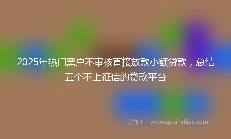 2025年热门黑户不审核直接放款小额贷款，总结五个不上征信的贷款平台