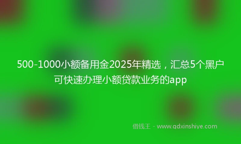 500-1000小额备用金2025年精选，汇总5个黑户可快速办理小额贷款业务的app