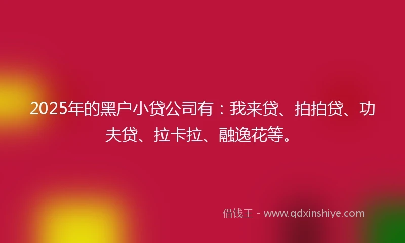 2025年的黑户小贷公司有：我来贷、拍拍贷、功夫贷、拉卡拉、融逸花等。