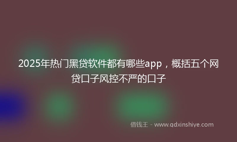 2025年热门黑贷软件都有哪些app，概括五个网贷口子风控不严的口子