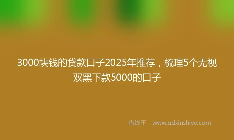 3000块钱的贷款口子2025年推荐，梳理5个无视双黑下款5000的口子