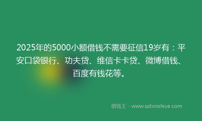 2025年的5000小额借钱不需要征信19岁有：平安口袋银行、功夫贷、维信卡卡贷、微博借钱、百度有钱花等。