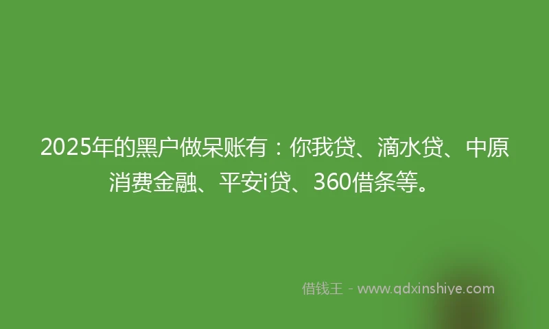 2025年的黑户做呆账有：你我贷、滴水贷、中原消费金融、平安i贷、360借条等。