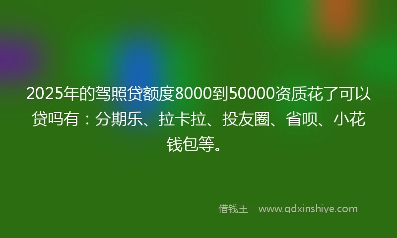 2025年的驾照贷额度8000到50000资质花了可以贷吗有：分期乐、拉卡拉、投友圈、省呗、小花钱包等。