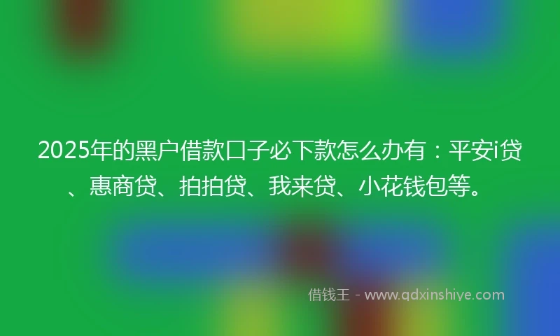 2025年的黑户借款口子必下款怎么办有：平安i贷、惠商贷、拍拍贷、我来贷、小花钱包等。