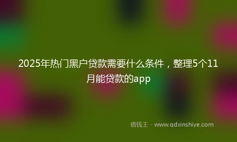 2025年热门黑户贷款需要什么条件，整理5个11月能贷款的app