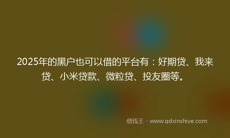 2025年的黑户也可以借的平台有：好期贷、我来贷、小米贷款、微粒贷、投友圈等。