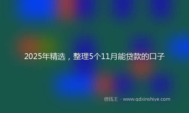2025年精选，整理5个11月能贷款的口子