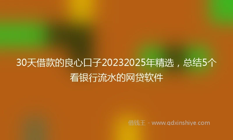 30天借款的良心口子20232025年精选，总结5个看银行流水的网贷软件