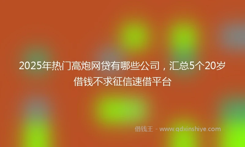 2025年热门高炮网贷有哪些公司，汇总5个20岁借钱不求征信速借平台