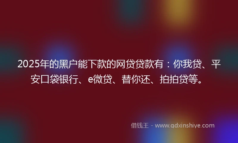 2025年的黑户能下款的网贷贷款有：你我贷、平安口袋银行、e微贷、替你还、拍拍贷等。