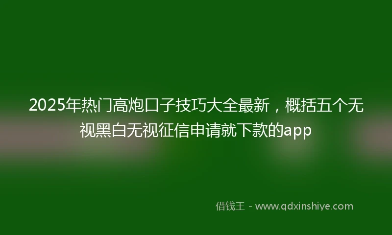 2025年热门高炮口子技巧大全最新，概括五个无视黑白无视征信申请就下款的app