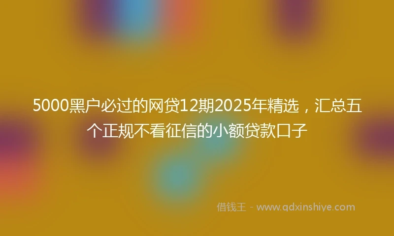5000黑户必过的网贷12期2025年精选，汇总五个正规不看征信的小额贷款口子