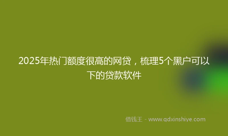 2025年热门额度很高的网贷，梳理5个黑户可以下的贷款软件