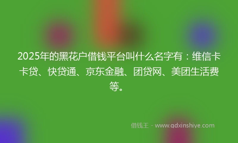 2025年的黑花户借钱平台叫什么名字有：维信卡卡贷、快贷通、京东金融、团贷网、美团生活费等。