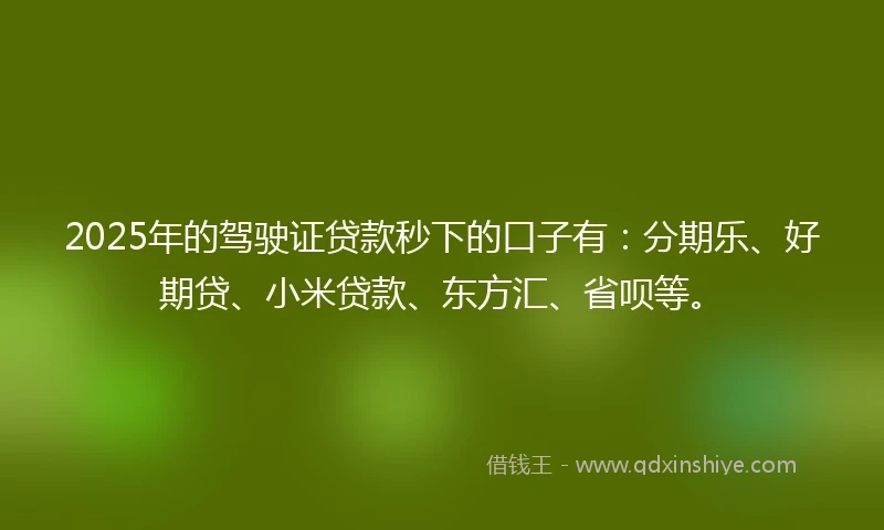 2025年的驾驶证贷款秒下的口子有：分期乐、好期贷、小米贷款、东方汇、省呗等。