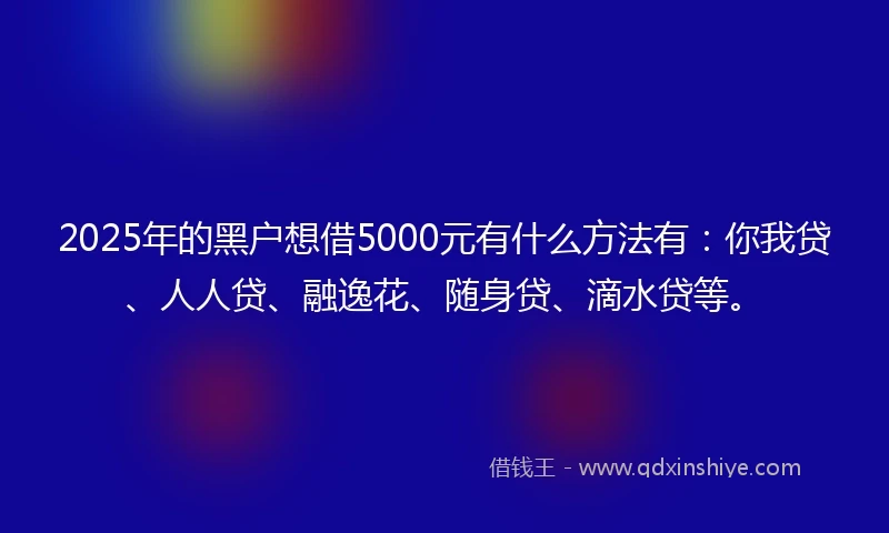 2025年的黑户想借5000元有什么方法有：你我贷、人人贷、融逸花、随身贷、滴水贷等。