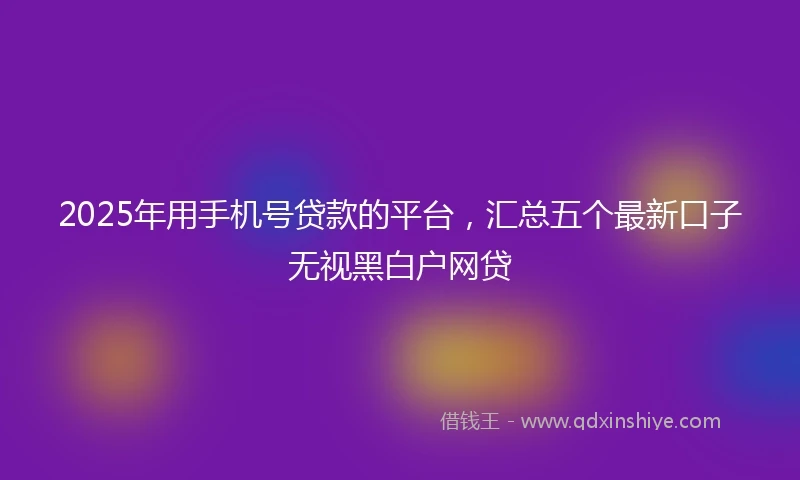 2025年用手机号贷款的平台，汇总五个最新口子无视黑白户网贷