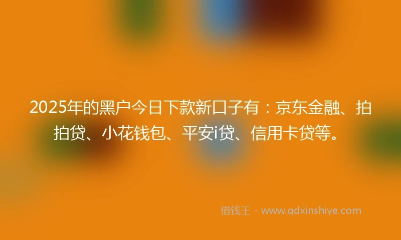 2025年的黑户今日下款新口子有：京东金融、拍拍贷、小花钱包、平安i贷、信用卡贷等。